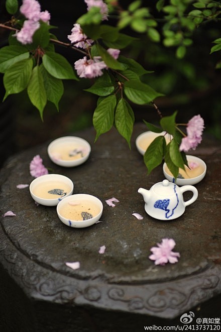 檐前新叶覆残花 ，席上余杯对早茶。