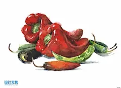 辣椒菜椒 水果蔬菜美食手绘插画JPG高清图片设计素材
