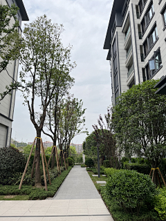 wanlixing110采集到宅间绿化