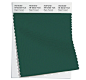 Pantone Color Swatch 19-5232