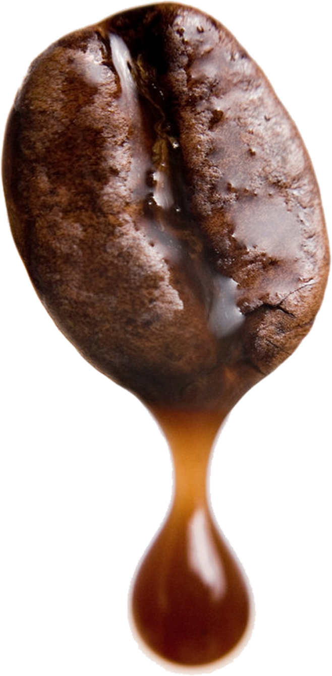 咖啡豆 PNG免抠素材