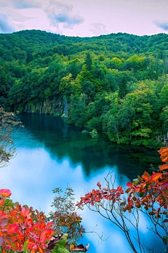 苏青玲采集到风景