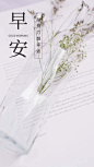 早安