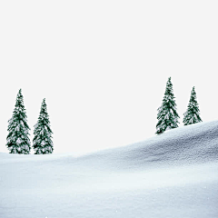 亚力山大芙采集到雪景