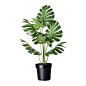 $24.99 - FEJKA Artificial potted plant IKEA Lifelike artificial plant that remains looking fresh year after year.: @北坤人素材