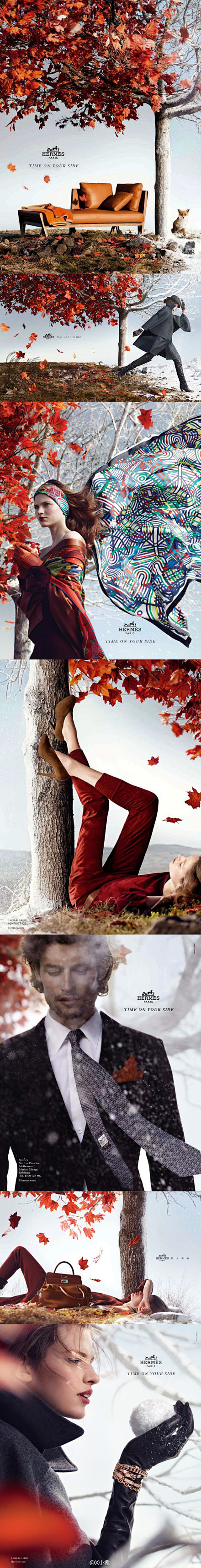 #Ad Campaigns#| Herm...