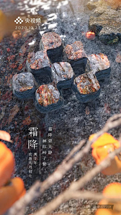 虎眠眠采集到写实主视觉参考