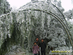 Myshun采集到宾馆,春节武功山莽山丹