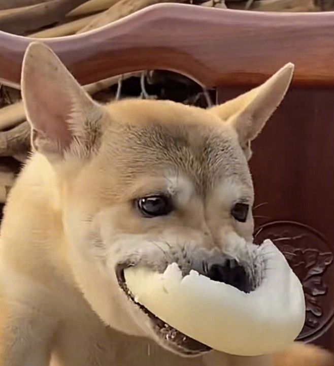 搞怪头像