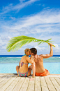 Caucasian couple shading themselves under palm frond near swimming pool by Gable Denims on 500px