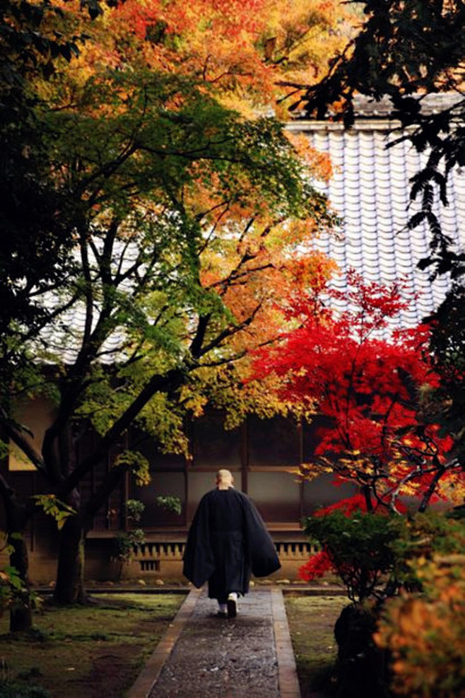 A monk at Heirin-ji ...