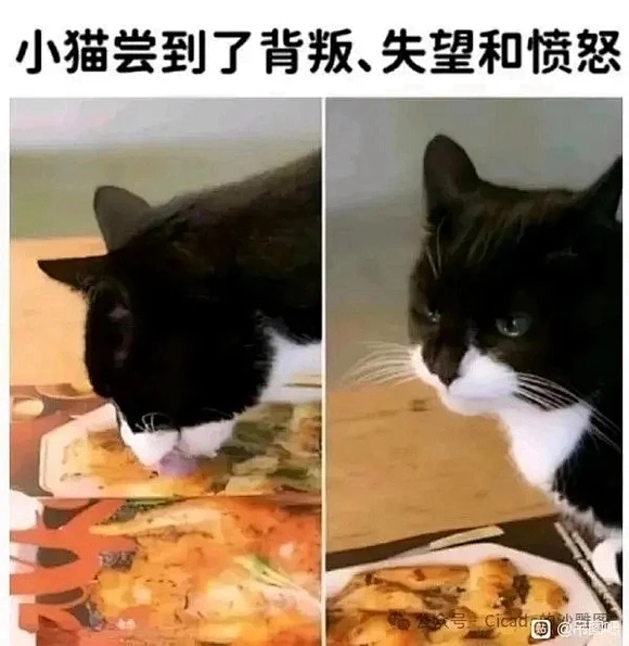meme too！_meme图吧_百度贴吧-花瓣网