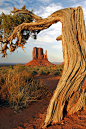 ✯ Framed Mitten - Monument Valley National Park - AZ