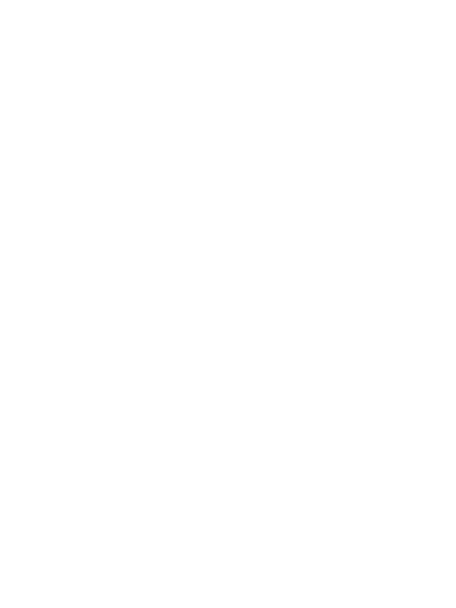 羽绒透明图