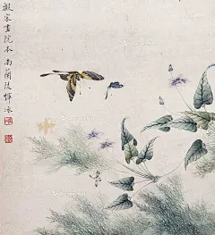 恽冰 蝴蝶 册页片-常州椿萱 - 雅昌拍卖图录APP