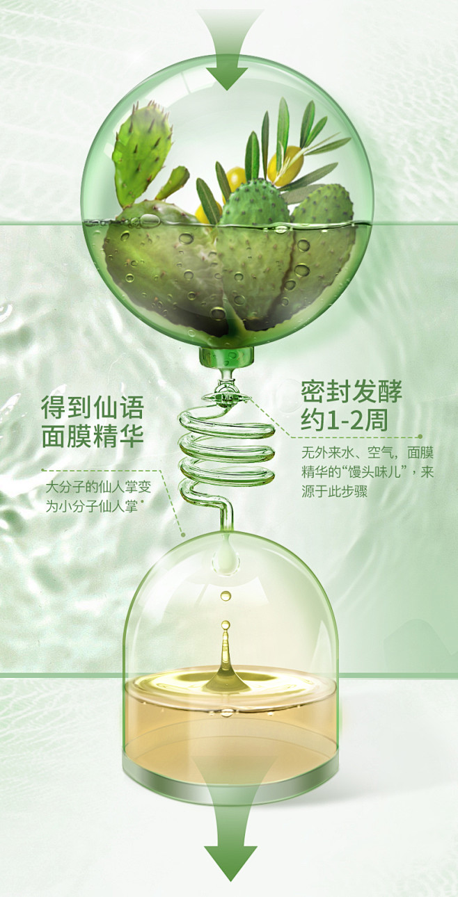 漫野仙语仙人掌面膜8片闭口痘痘肌酵母发酵...