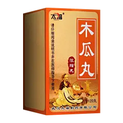 WJ0945武汉太福木瓜丸120丸