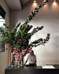 Leila Sanderson on Instagram: “Cymbidiums and smoke bush for @katiemarxflowers at @theprincehotel”