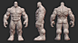 Hulky Anatomy Blockout