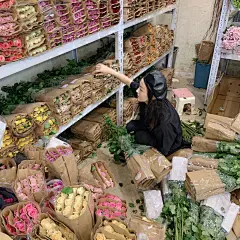 杭州买花好去处超平价花市/花市攻略 : 地点：杭州凤起路花卉市场 ⏰时间：我一般上午9点左右甚至更晚一些时间过去 还是有很多好的新鲜花材 所以时间没有关系 价格：图7️⃣传奇 38元/20支 图8️⃣粉佳人 28元/20支 图9️⃣