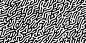 Vector turing reaction diffusion black and white seamless pattern with directional motion