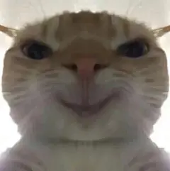 热门 - 热门微博 - 微博