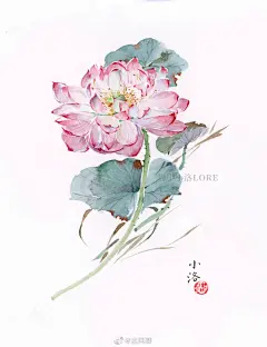 手绘古风插画画画人物花卉风景