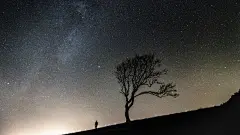 仰望星空唯美意境高清桌面壁纸