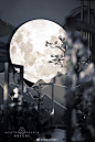 #花花婚礼# “陈陈”新婚快乐！手机预览，第一次做不是红色的新中式，没有过硬尖锐和复杂的装置，简约自然更喜欢