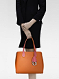 DIOR ADDICT 新款手袋