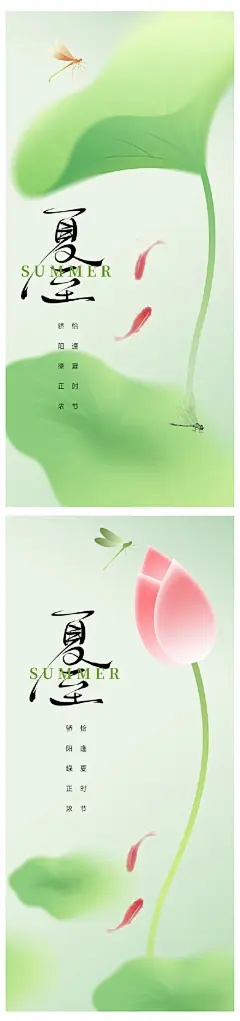 夏至节气海报