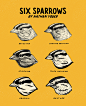 Six Sparrows : Six sparrows illustrated using six different methods; brush pen, contour hatching, stippling, thick hatching, graphic, and gesture drawing.