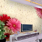 特价壁纸大型壁画电视沙发客厅背景墙卧室背景墙纸花卉蔷薇花瓣-淘宝网