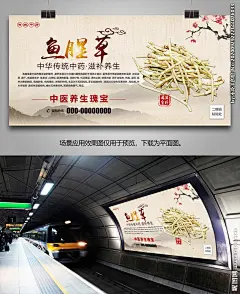 鱼腥草展板展架灯箱海报挂画单页