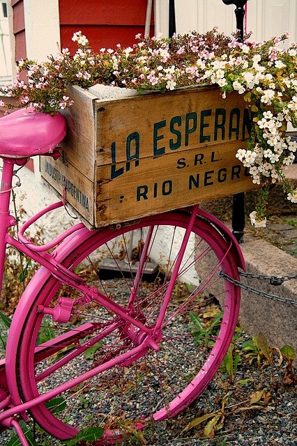 Pink bike and flower...