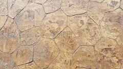 式样,小路,派克大街,水泥,闪亮的,人,园林,擦亮,放松