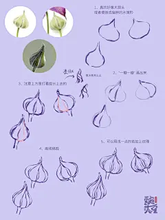 是谁说要我画铁线莲的呀 - 小红书