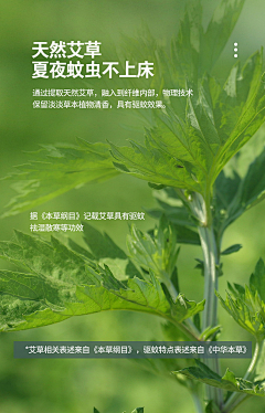 一只皮皮莓采集到面料