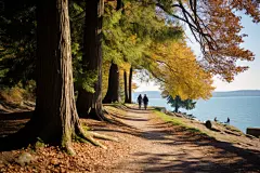 健身长跑跑道图片摄影图