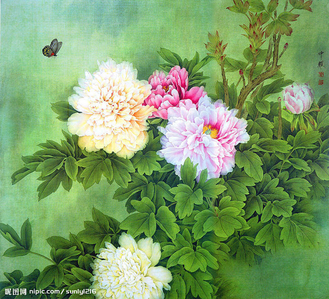 国画之牡丹花