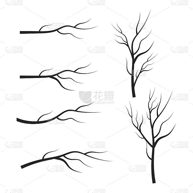 一组干树枝剪影。叶，漩涡和花元素