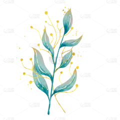 手绘金箔金色线条水彩叶子元素5