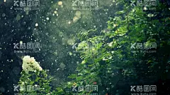 水滴绿叶  - 源文件下载【酷图网】壁纸,电脑壁纸,设计,手机壁纸,好看,