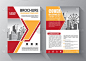 Brochure design, cover modern layout, annual repor
