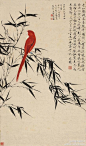  

于非闇 戊子（1948年）作《红鹦鹉》
#中国绘画# #绘画# #国画艺术##国画##工笔画##中国画#


