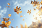 dry-autumn-leaves-floating-with-sky-background (3)