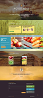 Template 52074 - Agrogreet Agriculture Website Template: 