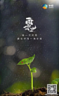 今年的雨水节气各品牌海报文案总体挺“水”，这几张还不错，江淮汽车节气点抓得好，温碧泉“雨会停，天会晴”文案切入的巧！#海报##文案##雨水# ​​​​