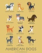 DOGS OF THE WORLD世界的狗系列插画设计//L 文艺圈 展示 设计时代网-Powered by thinkdo3