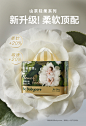 山茶花拉拉裤